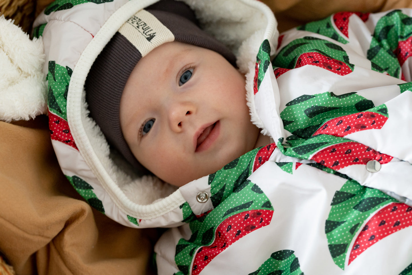 Winter Jumpsuit with Teddy Lining for Babies and Kids - Watermelons