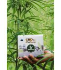 CBD kanepitee Mustikaga 34.5g